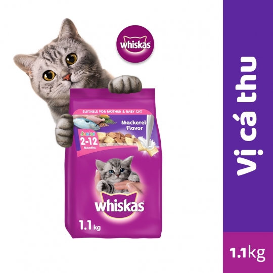 Hạt mèo vị cá biển
