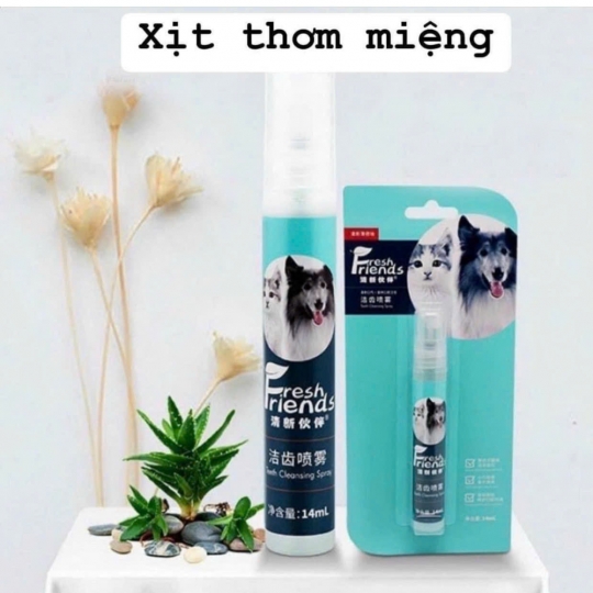 Xịt thơm miệng