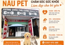 Chăm Sóc Làm Đẹp Thú Cưng Tại Bình Dương – Địa Chỉ Spa Grooming Cho Chó Mèo