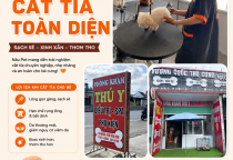Tìm Phòng Khám Thú Y Gần Đây Uy Tín? Đến Ngay Nâu Pet Để Boss Được Chăm Sóc Tốt Hơn