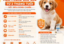 Lịch tiêm phòng cho chó từ 2 tháng tuổi đầy đủ và đúng chuẩn