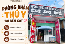 Spa Thú Cưng Bến Cát: Dịch Vụ Tắm, Sấy, Chải Lông Và Cắt Tỉa Tại Nâu Pet