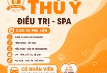 Dịch Vụ Làm Đẹp Thú Cưng Tại Nâu Pet Bình Dương – Nơi Bé Yêu Được Chăm Sóc Toàn Diện