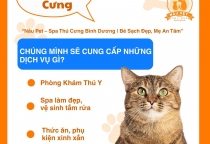  Chăm Sóc Thú Cưng Mùa Mưa – Spa Thú Cưng Bình Dương Nâu Pet