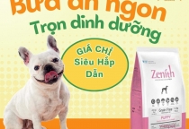  DANH MỤC SẢN PHẨM THÚ CƯNG TẠI NÂU PET – SPA THÚ CƯNG BÌNH DƯƠNG
