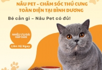 Nâu Pet – Spa thú cưng Bình Dương chuyên nghiệp & tận tâm