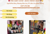 Phụ kiện thú cưng tại Nâu Pet – Đa dạng, dễ thương và an toàn