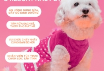 “Sen đi chơi xa – Boss ở lại vẫn vui như nhà!