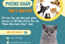 Phòng Khám Thú Y Nâu Pet – Dịch Vụ Uy Tín Tại Bến Cát, Bình Dương