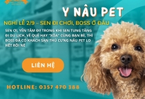 Nâu Pet – Nơi thú cưng hạnh phúc, sen an lòng