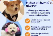 Nhận giữ thú cưng dịp lễ 2/9 tại Phòng khám thú y Nâu Pet – Giải pháp an tâm cho Sen, thoải mái cho Boss