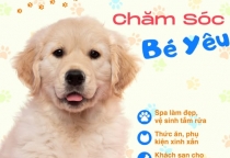 Giới thiệu về Phòng khám thú y Nâu Pet tại Bình Dương