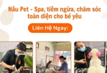 CẮT TỈA LÔNG  THÚ CƯNG