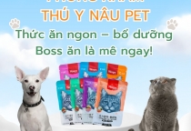 THỨC ĂN DÀNH CHO THÚ CƯNG 