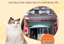 Cửa hàng bán đồ ăn thú cưng Bình Dương – Nâu Pet
