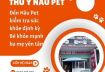 Vì Sao Ba Mẹ Nên Khám Định Kỳ Cho Thú Cưng?