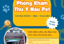 Top 4+ Dịch Vụ Chăm Sóc Thú Cưng Tốt Nhất Các Sen Cần Biết