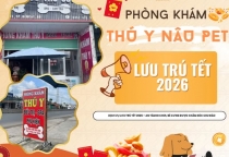 TOP 5 LÝ DO NÊN CHỌN NÂU PET LÀM ĐẸP THÚ CƯNG TẾT 2026