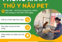 Dịch vụ thú cưng tốt nhất tại Bình Dương – Phòng khám thú y Nâu Pet