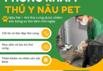 Cắt tỉa – Spa làm đẹp thú cưng Tết 2026 tại Phòng khám thú y Nâu Pet