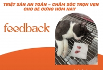 VÌ SAO PHẢI TRIỆT SẢN THÚ CƯNG? TOP PHÒNG KHÁM UY TÍN NÊN CHỌN TẠI PHÒNG KHÁM THÚ Y NÂU PET