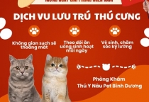 Nhận giữ thú cưng 30/4 tại Bến Cát – Giải pháp an tâm cho kỳ nghỉ lễ của bạn tại Phòng Khám Thú Y Nâu Pet Bình Dương