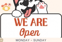 Spa thú cưng tại Bình Dương – Vì sao nên lựa chọn Phòng Khám Thú Y Nâu Pet Bình Dương?