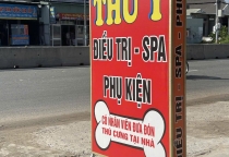 Vì Sao Mùa Mưa Nên Grooming Cho Chó Mèo Thường Xuyên?