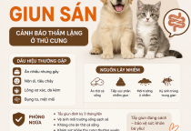 Nhiễm Giun Sán Ở Chó Mèo: Dấu Hiệu Nhận Biết, Nguyên Nhân Và Cách Phòng Ngừa