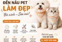 Vì Sao Nên Đặt Lịch Trước Khi Đưa Bé Đến Nâu Pet?