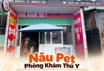 Phòng Khám Thú Y Uy Tín Bình Dương: Tiêu Chí Lựa Chọn Và Địa Chỉ Nâu Pet