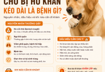 Chó bị ho khan kéo dài là bệnh gì? Nguyên nhân, dấu hiệu và khi nào cần đi khám
