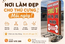 Pet Shop Bình Dương Uy Tín – Địa Chỉ Mua Sắm Và Chăm Sóc Thú Cưng Được Nhiều Khách Hàng Tin Tưởng