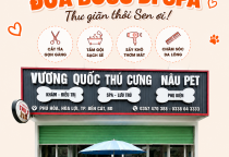 Grooming Chó Mèo Hòa Lợi – Giúp Boss Luôn Sạch Sẽ Và Gọn Gàng