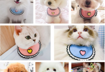 CUNG CẤP PHỤ KIỆN ĐỒ CHƠI 