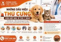 Những dấu hiệu cho thấy thú cưng cần gặp bác sĩ thú y ngay