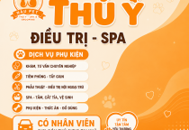 Phòng Khám Thú Cưng Uy Tín Tại Bình Dương – Đồng Hành Cùng Sức Khỏe Và Hạnh Phúc Của Thú Cưng