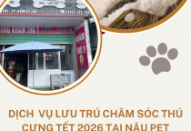 DỊCH VỤ LƯU TRÚ – KHÁCH SẠN THÚ CƯNG TẾT 2026 TẠI PHÒNG KHÁM THÚ Y NÂU PET