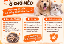 Nhiễm giun sán ở chó mèo: Dấu hiệu nhận biết, tác hại và cách phòng ngừa hiệu quả