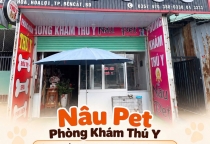 Những Lưu Ý Khi Lựa Chọn Dịch Vụ Grooming Cho Chó Mèo