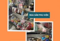 Phòng khám thú y tại Bình Dương cung cấp dịch vụ chăm sóc và phụ kiện, thức ăn thú cưng