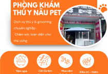 TOP CỬA HÀNG THÚ CƯNG – CHÓ MÈO UY TÍN TẠI BÌNH DƯƠNG – LỰA CHỌN HÀNG ĐẦU TẠI PHÒNG KHÁM THÚ Y NÂU PET