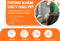 TOP PHÒNG KHÁM THÚ Y ĐƯỢC ĐÁNH GIÁ TỐT TẠI BÌNH DƯƠNG – LỰA CHỌN UY TÍN CHO THÚ CƯNG