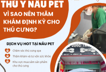 VÌ SAO NÊN THĂM KHÁM ĐỊNH KỲ CHO THÚ CƯNG? GIẢI PHÁP BẢO VỆ SỨC KHỎE TOÀN DIỆN TẠI PHÒNG KHÁM THÚ Y NÂU PET