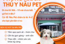 Gửi thú cưng dịp lễ 30/4 – 1/5 tại Nâu Pet – Giải pháp an tâm cho mọi gia đình