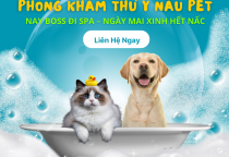 Phòng khám thú y uy tín ở Bình Dương – Nâu Pet