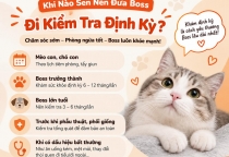 Khi Nào Sen Nên Đưa Boss Đi Kiểm Tra Định Kỳ?