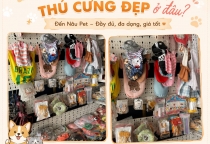Mua Phụ Kiện Thú Cưng Đẹp Ở Đâu? Gợi Ý Địa Chỉ Uy Tín Tại Bình Dương