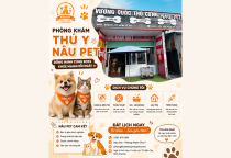 Nâu Pet – Địa Chỉ Được Nhiều Sen Tin Tưởng Khi Chăm Sóc Thú Cưng Tại Bình Dương