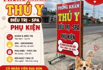 Pet Grooming Bình Dương – Dịch Vụ Làm Đẹp Thú Cưng Được Nhiều Sen Lựa Chọn